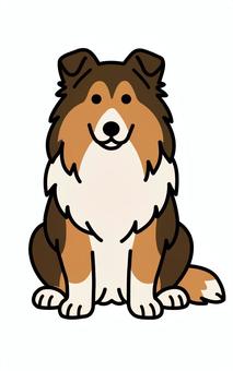 お座りするシェットランドシープドッグ シェットランドシープドッグ,お座り,中型犬,牧羊犬,ペットのイラスト素材