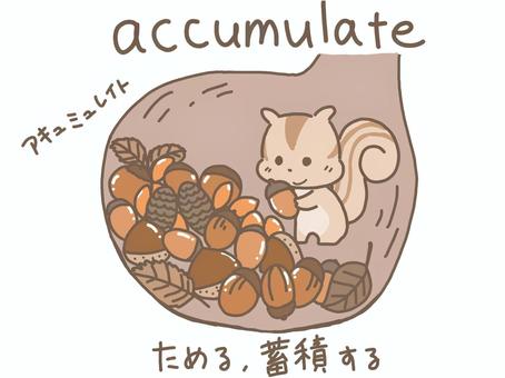 ためる（accumulate） リス,シマリス,ためる,accumulate,英単語,英語,文字,ドングリ,集める,巣のイラスト素材