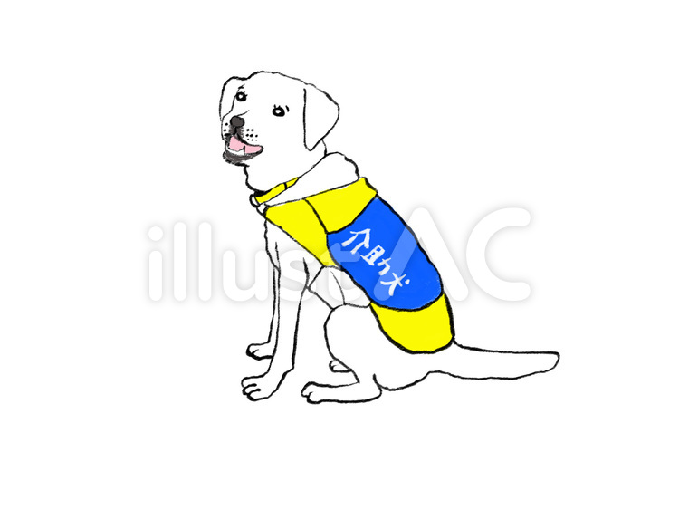 手書き　座っている介助犬 介助犬,犬,手書きのイラスト素材