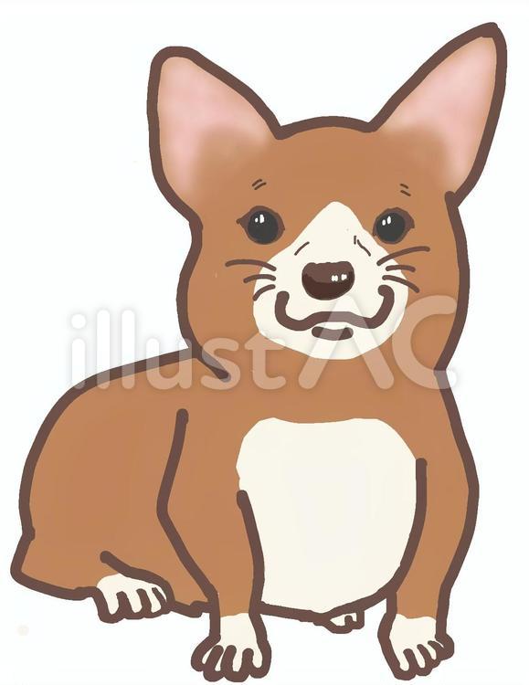 かわいいコーギーのイラスト 犬,コーギー,かわいいのイラスト素材