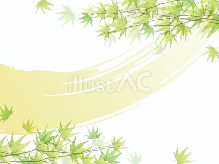momiji09 淡い青紅葉と優しい風 もみじ,リアル,ナチュラルのイラスト素材