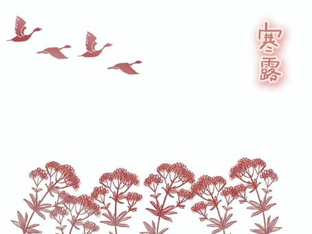 Illustration, cold dew, twenty four seasons, fuji bakama, 