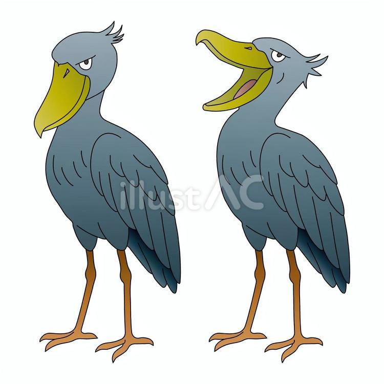 ハシビロコウの静止と躍動の2形態 ハシビロコウ,鳥類,動物のイラスト素材