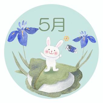 Illustration, rabbit, may, boys' festival, 