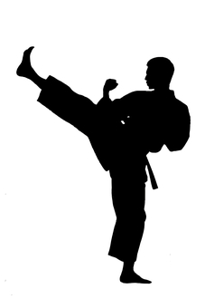 空手のをする人のイラスト 空手,武道,男性,シルエット,蹴り,試合,練習,稽古,回し,足のイラスト素材