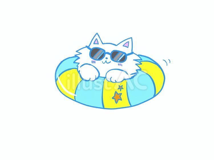 浮き輪と猫 猫,夏,海のイラスト素材