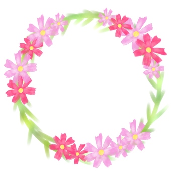 cosmos frame, cosmos frame, cosmos, tiba wit cherry, pigura,
