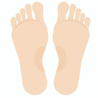 足の裏 足,足の裏,足底部,人体,足裏,裸足,裏,ボディパーツ,指圧,素足のイラスト素材