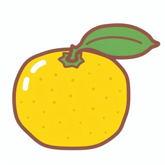 柚子 柚子 ゆず,葉っぱ,果物,黄色,丸ごと,一個,柑橘のイラスト素材