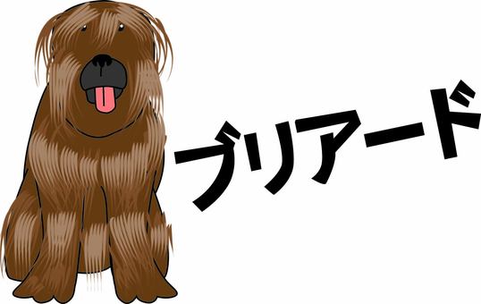 ブリアード　犬  ブリアード,犬,大型犬,犬種,ペット,かわいい,正面,お座り,文字,線画のイラスト素材