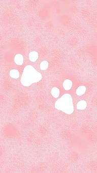 paw wallpaper, , JPG