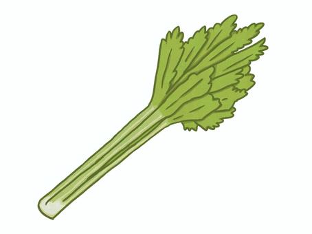 Illustration, celery, vegetables, yellow green, 