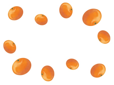 ミカンのフレーム