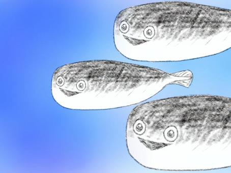 サカバンバスピス サカバンバスピス,魚,深海,海,青,手描き風,シュールのイラスト素材