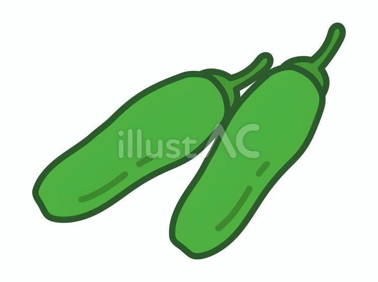 シシトウ シシトウ,果実,食べ物のイラスト素材