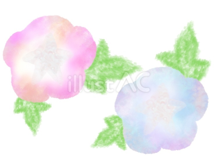 やさしい水彩朝顔と葉/夏の飾り/背景素材 あさがお,手描き,夏のイラスト素材