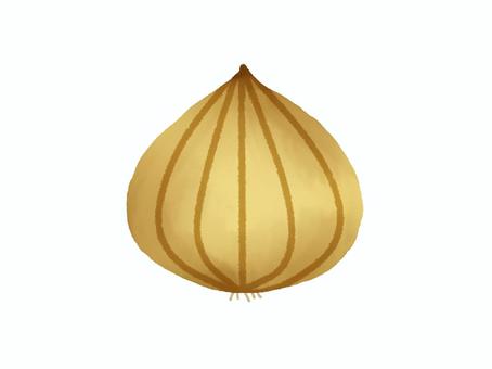 玉ねぎ 玉ねぎ,野菜,茶色,皮,1個のイラスト素材