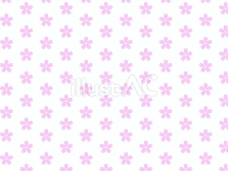 和風背景・春のシンプルな桜の壁紙素材 和風背景,春,シンプルのイラスト素材