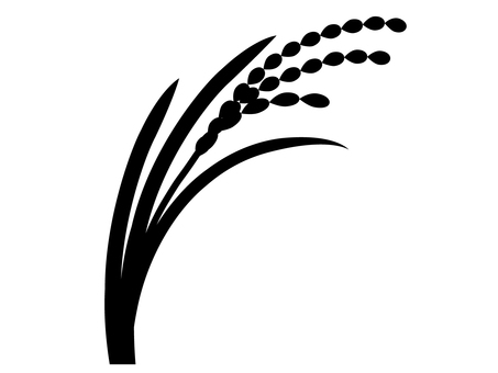 たわわに実る稲穂のイラスト(モノクロ) 稲穂,米,稲,秋,収穫,実り,豊作,田んぼ,田園,農業のイラスト素材