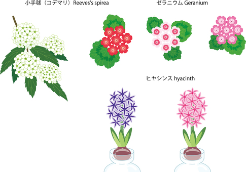 色々な花30 ヒヤシンス,ゼラニウム,コデマリ,白,赤,ピンク,ムラサキのイラスト素材
