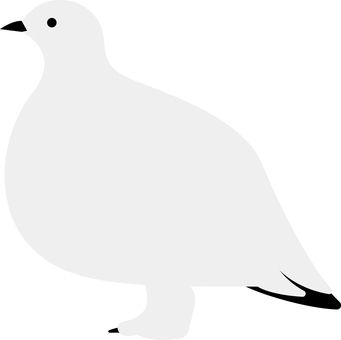 かわいい鳥(ハト) かわいい鳥(ハト) 鳥,ハト,鳩,灰色,ハト目のイラスト素材