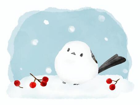 シマエナガさんとナナカマドの実・背景あり シマエナガ,かわいい,鳥,ナナカマド,赤い,実,雪,降る,背景,積もるのイラスト素材