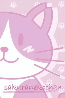 Illustration, sakura cat, cat, stray cat, 