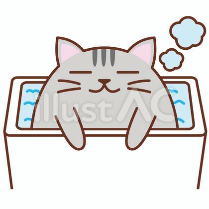 お風呂でくつろぐネコ