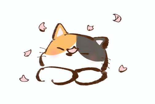 鼻に桜の花びらが乗った三毛猫 鼻に桜の花びらが乗った三毛猫 猫,動物,三毛猫のイラスト素材