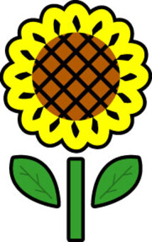 sunflower, JPG and EPS sunflower, , JPG and EPS