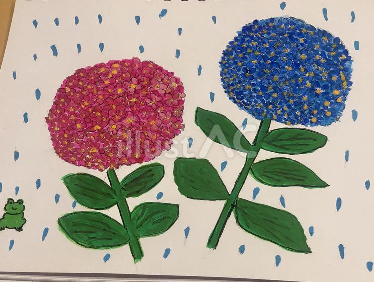 紫陽花と雨 植物,雨,６月のイラスト素材