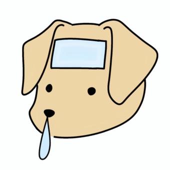 風邪の犬 風邪の犬 風邪,風邪予防,冬,防寒,予防,対策,インフルエンザ,乾燥,コロナ,ウイルスのイラスト素材
