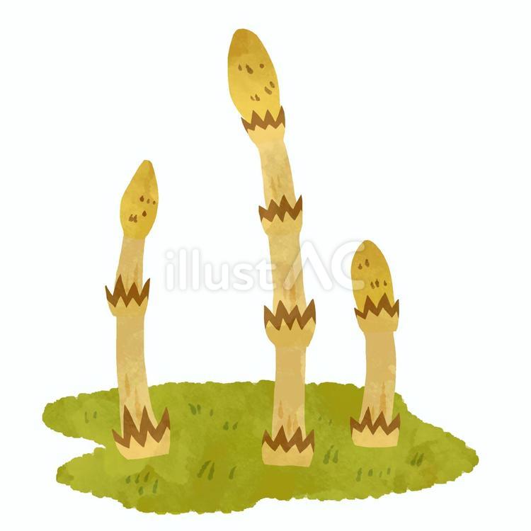 春の野に芽を出したつくしのイラスト つくし,春,草のイラスト素材