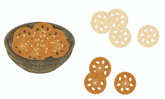 れんこん れんこん,輪切り,断面,おかず,おつまみ,味付け,野菜,食材,器,食器のイラスト素材