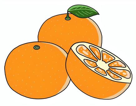 Orange, food, fruit, fruit, JPG and PNG