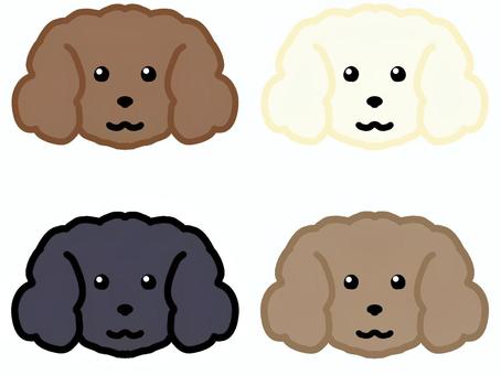 トイプードル_顔セット 犬,トイプードル,トイプー,わんちゃん,子犬,仔犬,小型犬,ペット,かわいい,動物のイラスト素材
