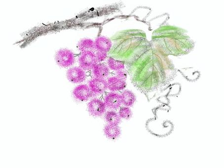 ブドウ ブドウ,秋の味覚,おいしい,果物,蔓のイラスト素材