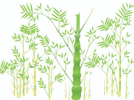 Illustration, бамбуковый, пять три бамбука, бамбуковые побеги, 