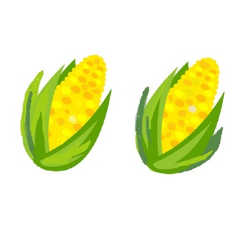 とうもろこしイラスト 無料イラストなら イラストac