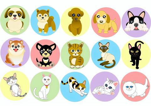Illustration, stiker, a asu, cat, 