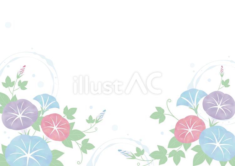 朝顔の水彩風フレーム（夏・7月・横） 朝顔,あさがお,フレームのイラスト素材