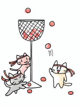 猫の運動会、玉入れ