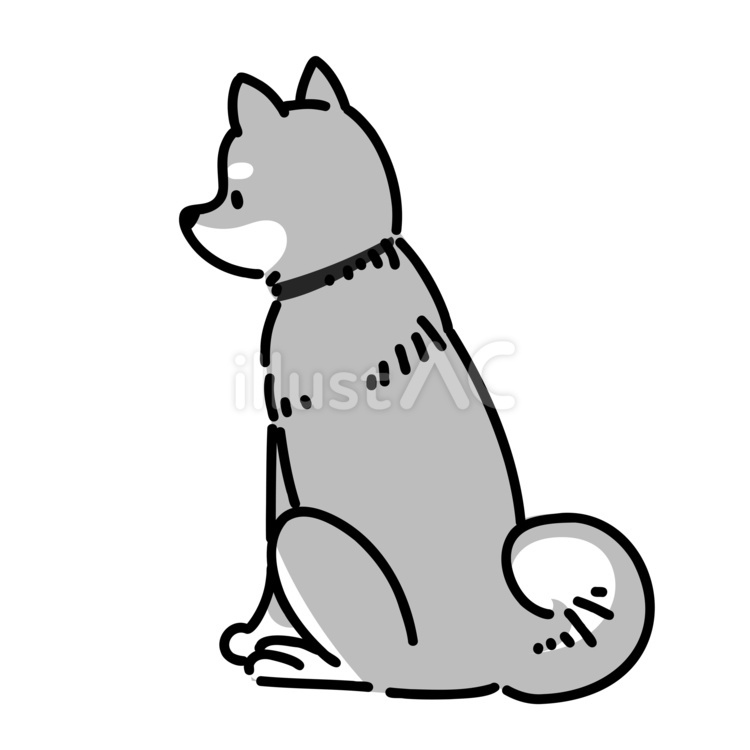 柴犬の後ろ姿 犬,柴犬,動物のイラスト素材