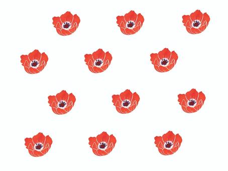 赤いアネモネの背景 アネモネ,背景,シンプル,かわいい,植物,花,春,赤,anemone,素材のイラスト素材
