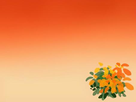 花のカードイラスト