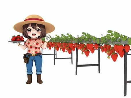 春のいちご狩りのイチゴ棚と苺農家の女性 イチゴ,いちご,苺,いちご棚,イチゴ棚,苺狩り,イチゴ狩り,いちご狩り,春,農家のイラスト素材
