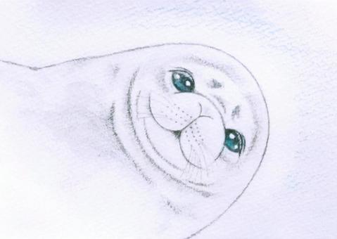 ゴマフアザラシ ゴマフアザラシ,可愛い,笑顔,海の生き物,癒しのイラスト素材