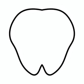 歯 歯,奥歯,臼歯,乳歯,永久歯,歯医者,白い歯,白,アイコンのイラスト素材