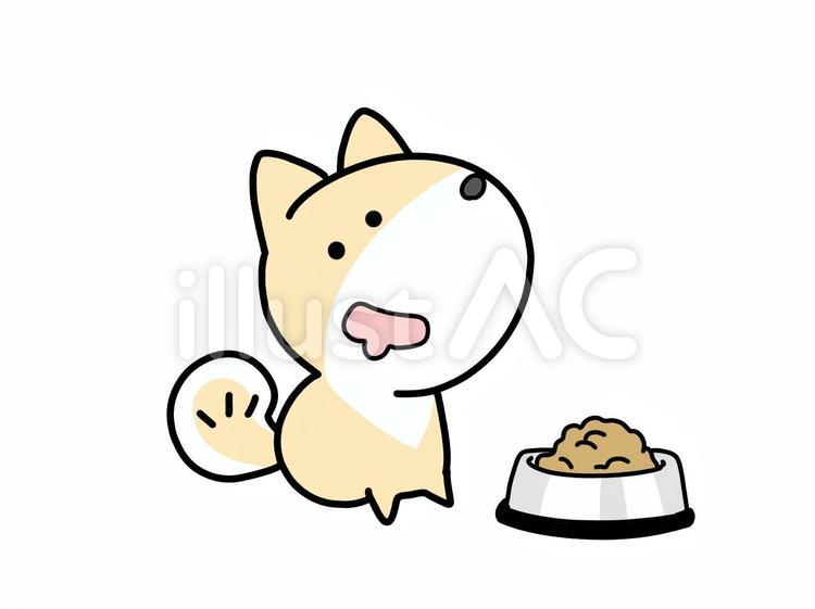待て柴犬 犬,柴犬,動物のイラスト素材