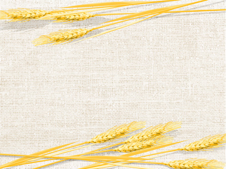 黄金色の麦穂と麻布の背景　006 麦穂,黄金色,リアル,ナチュラル,お洒落,自然,植物,大人っぽい,枠,背景のイラスト素材